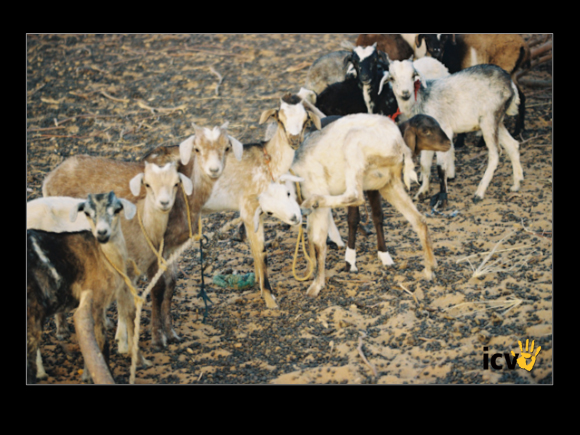 ./greenvoice/gallery/Gallery/AgriGuide/2-013.jpg