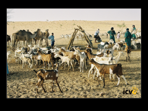 ./greenvoice/gallery/Gallery/AgriGuide/2-017.jpg