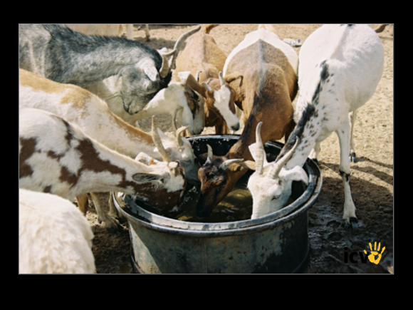 ./greenvoice/gallery/Gallery/AgriGuide/2-020.jpg