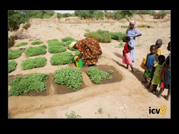 ./greenvoice/gallery/Gallery/AgriGuide/2-042.jpg