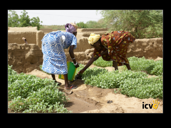 ./greenvoice/gallery/Gallery/AgriGuide/2-043.jpg