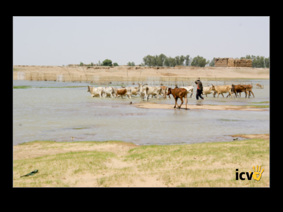 ./greenvoice/gallery/Gallery/AgriGuide/2-046.jpg