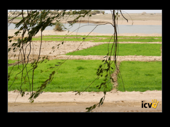 ./greenvoice/gallery/Gallery/AgriGuide/2-047.jpg