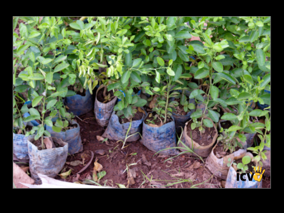 ./greenvoice/gallery/Gallery/AgriGuide/2-055.jpg