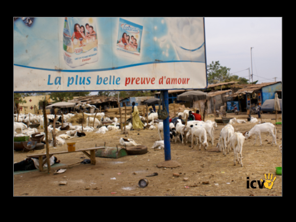 ./greenvoice/gallery/Gallery/AgriGuide/2-057.jpg