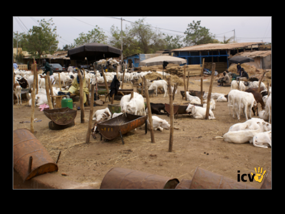 ./greenvoice/gallery/Gallery/AgriGuide/2-058.jpg