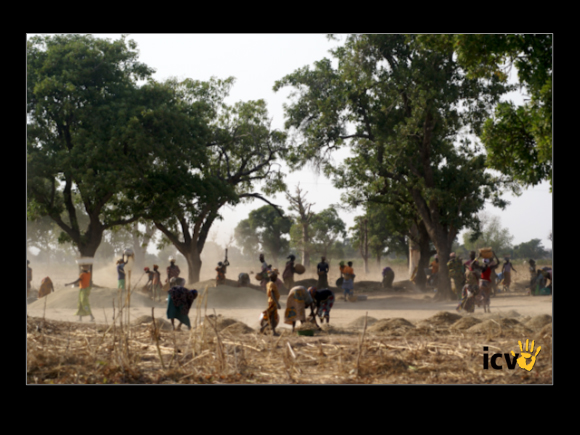 ./greenvoice/gallery/Gallery/AgriGuide/2-063.jpg