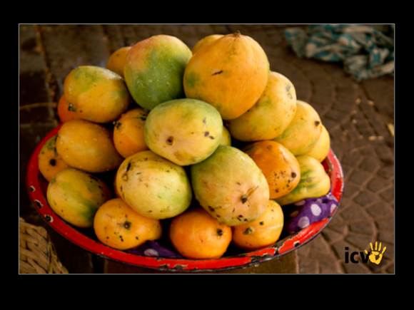 ./greenvoice/gallery/Gallery/AgriGuide/2-135.jpg