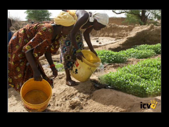 ./greenvoice/gallery/Gallery/AgriGuide/2-170.jpg