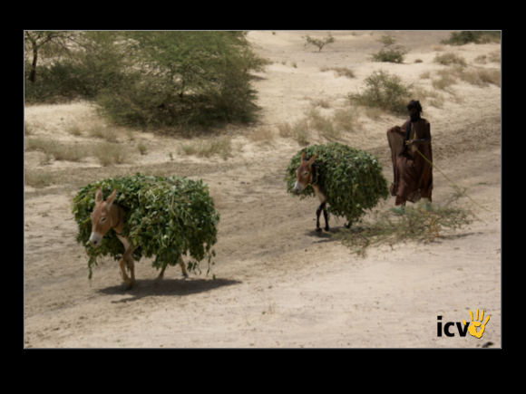 ./greenvoice/gallery/Gallery/AgriGuide/2-173.jpg