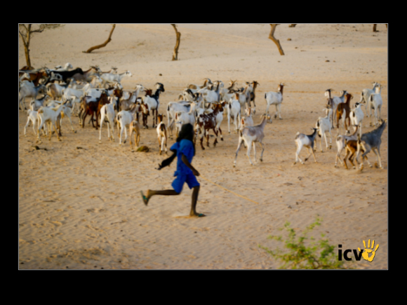 ./greenvoice/gallery/Gallery/AgriGuide/2-177.jpg