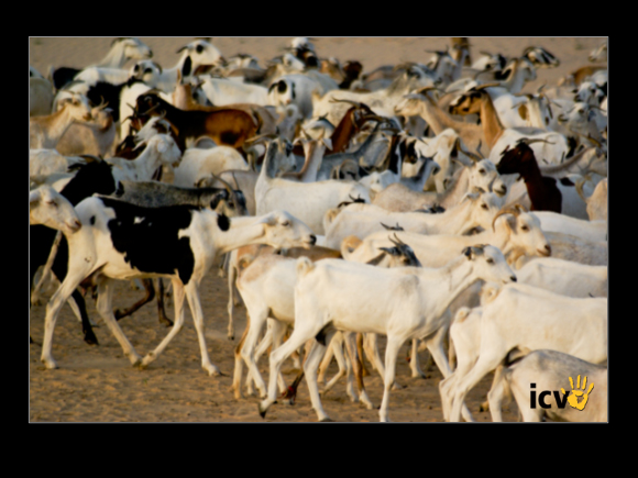./greenvoice/gallery/Gallery/AgriGuide/2-178.jpg
