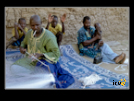 ./greenvoice/gallery/Gallery/AgriGuide/_thb_2-004.jpg