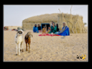 ./greenvoice/gallery/Gallery/AgriGuide/_thb_2-014.jpg