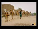 ./greenvoice/gallery/Gallery/AgriGuide/_thb_2-015.jpg