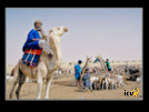 ./greenvoice/gallery/Gallery/AgriGuide/_thb_2-019.jpg