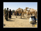 ./greenvoice/gallery/Gallery/AgriGuide/_thb_2-031.jpg