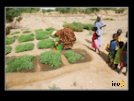 ./greenvoice/gallery/Gallery/AgriGuide/_thb_2-042.jpg