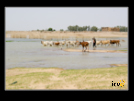 ./greenvoice/gallery/Gallery/AgriGuide/_thb_2-046.jpg