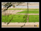 ./greenvoice/gallery/Gallery/AgriGuide/_thb_2-047.jpg