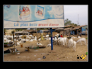 ./greenvoice/gallery/Gallery/AgriGuide/_thb_2-057.jpg