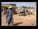 ./greenvoice/gallery/Gallery/AgriGuide/_thb_2-059.jpg