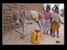 ./greenvoice/gallery/Gallery/AgriGuide/_thb_2-179.jpg