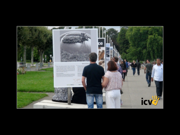 ./greenvoice/gallery/Gallery/Exhibits/exhibits-30.jpg
